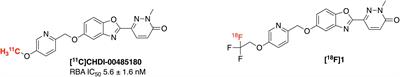 Synthesis and Evaluation of a Fluorine-18 Radioligand for Imaging Huntingtin Aggregates by Positron Emission Tomographic Imaging